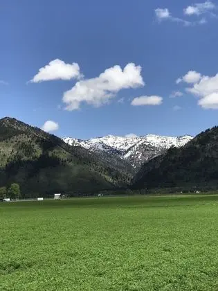 Deluxe Çatı Katı (Loft)