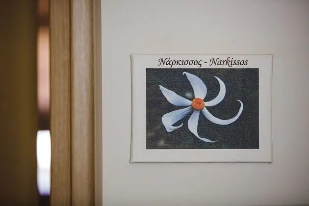 Standard Room - Narkisos