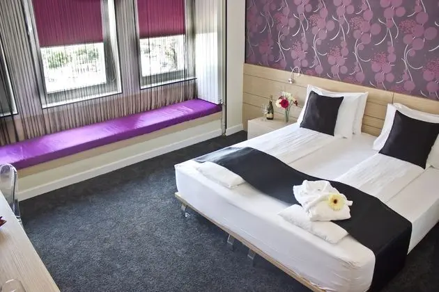 Superior Tek Büyük Yataklı Oda, Şehir Manzaralı