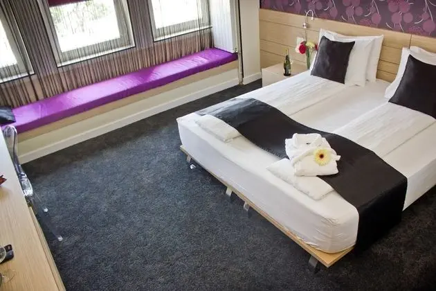 Superior Tek Büyük Yataklı Oda, Şehir Manzaralı