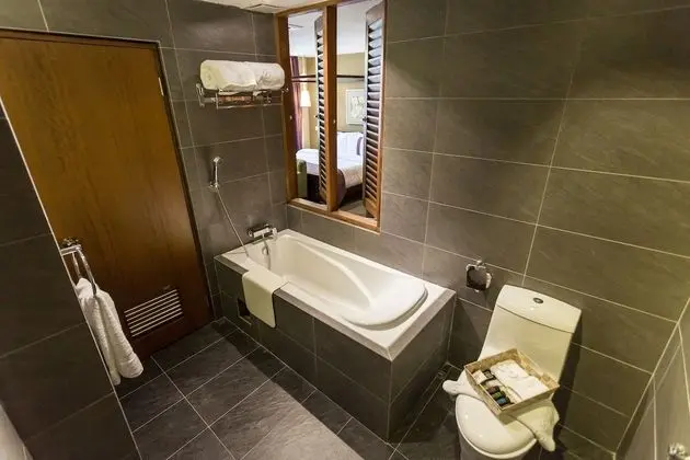 Premier Stüdyo, 1 En Büyük (King) Boy Yatak, Küvet, Şehir Manzaralı