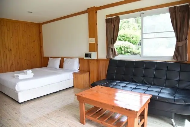 Garden view room