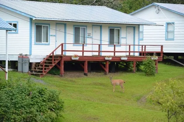 Basic İki Ayrı Yataklı Oda