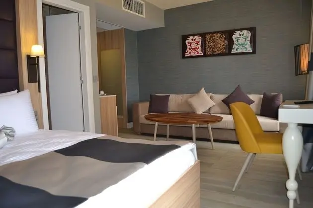 Deluxe Tek Büyük Yataklı Oda, Sigara İçilebilir