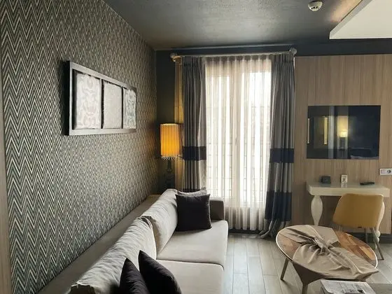 Deluxe Tek Büyük Yataklı Oda, Sigara İçilebilir
