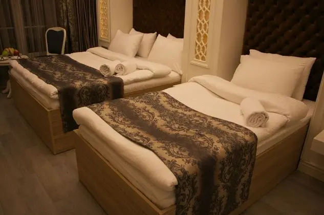 Family İki Ayrı Yataklı Oda, Birden Çok Yatak, Sigara İçilebilir, Şehir Manzaralı