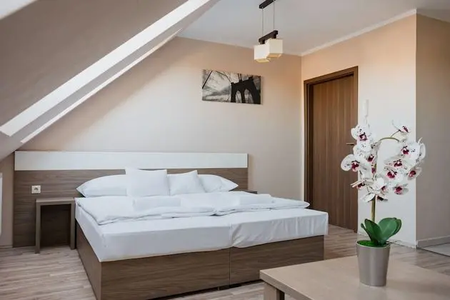 Superior Stüdyo Süit, 1 Çift Kişilik Yatak ve Çekyat (4 Adults)