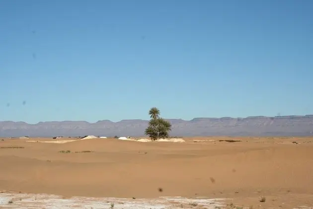 Çadır, 2 Tek Kişilik Yatak