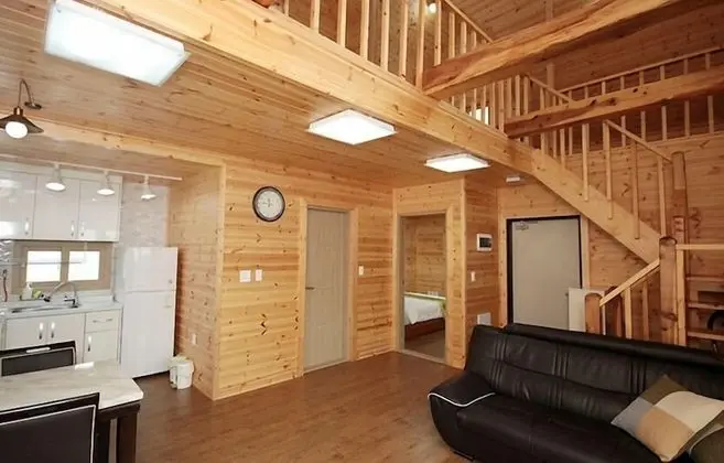 35py Duplex Family