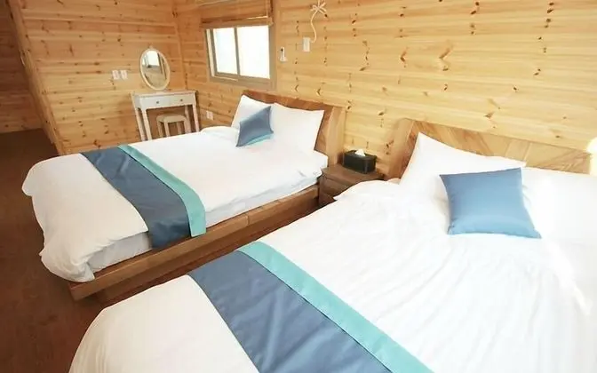 35py Duplex Family