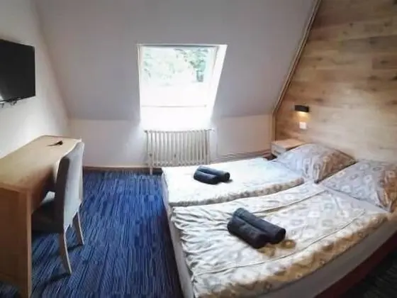 Tek Büyük Yataklı Oda (With Extra Bed)