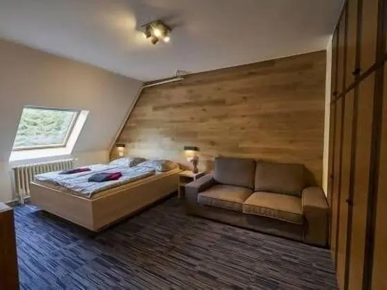 Tek Büyük Yataklı Oda (With Extra Bed)