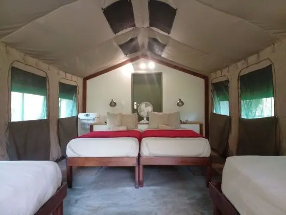 Luxury Çadır, Birden Çok Yatak