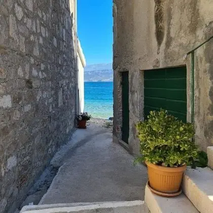 Apart Daire (Žana - 30m from beach - A1(4+2))