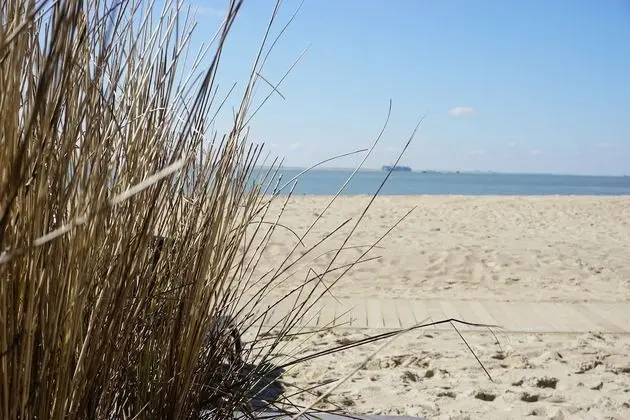 Deluxe Tek Büyük Yataklı Oda, Denize Sıfır