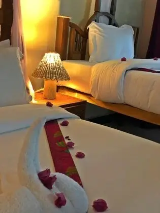 Comfort Dört Kişilik Oda, Birden Çok Yatak, Teras, Havuz Manzaralı