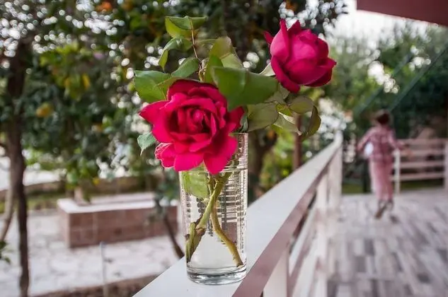 Stüdyo, Balkon, Bahçe Manzaralı