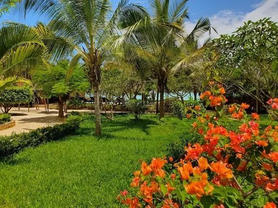 Bougainvillea Garden View Room