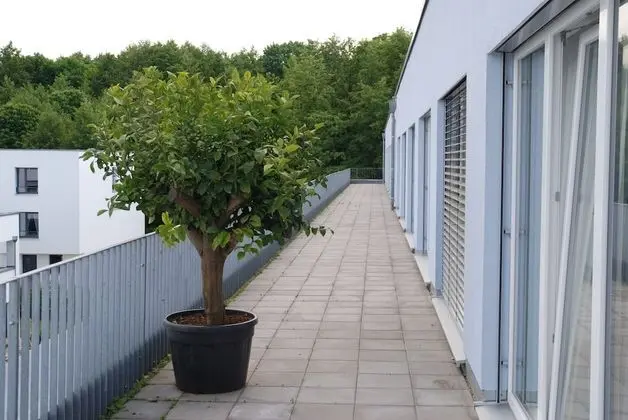 Büyük Yataklı Tek Kişilik Oda