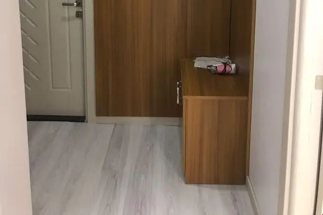 Suit
