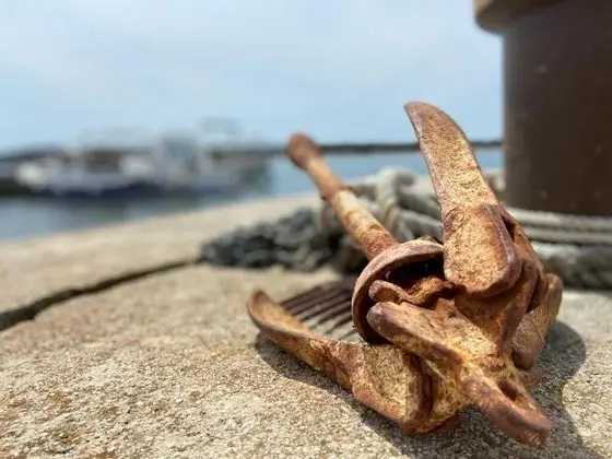 Apart Daire (Žare - with garden - A1(2+2))