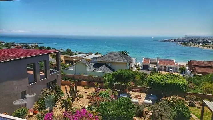 Deluxe Çatı Katı Süiti (Penthouse)