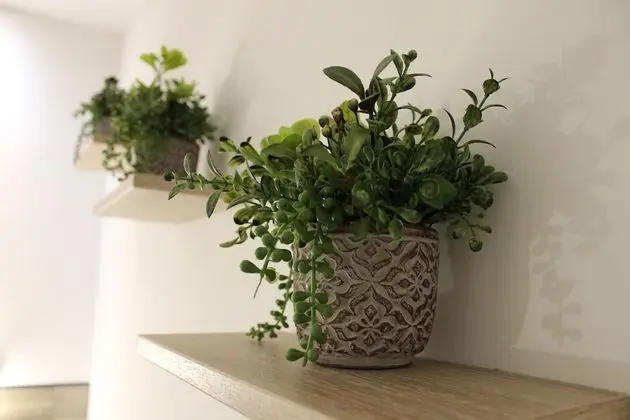 Design Tek Büyük Yataklı Oda, 1 Yatak Odası, Banyolu/Duşlu