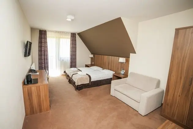 Standard Tek Büyük Yataklı Oda (extra bed)