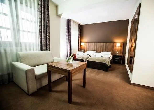 Standard Tek Büyük Yataklı Oda (extra bed)