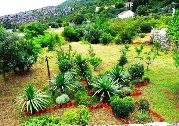 Ev (Zdravko - sea view & peaceful nature )