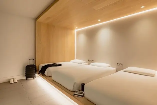 Cocoon 3