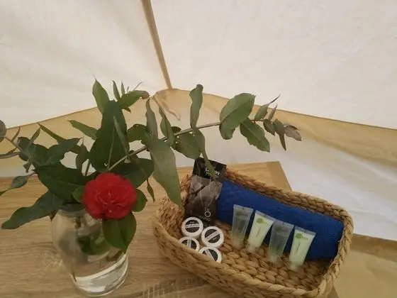 Luxury Çadır, 1 Büyük (Queen) Boy Yatak
