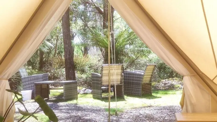 Luxury Çadır