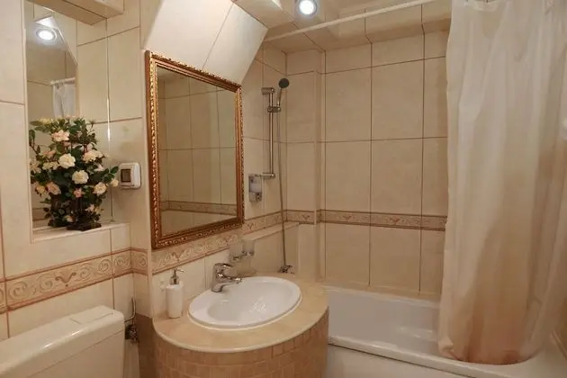 Standard Tek Büyük Yataklı Oda, 1 En Büyük (King) Boy Yatak, Avlu Manzaralı