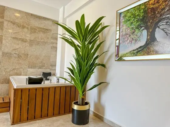 Star Villa Oda