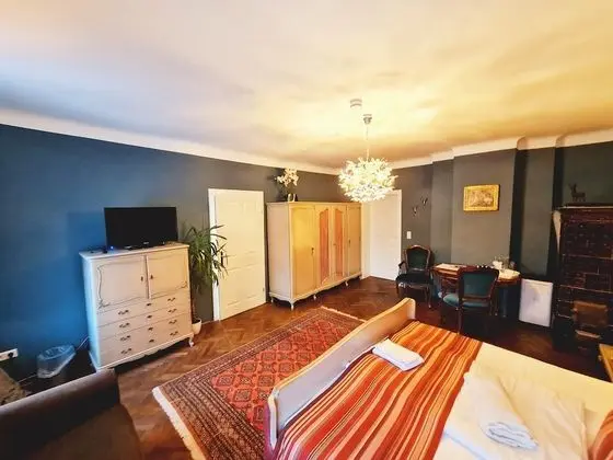 Superior Tek Büyük Yataklı Oda