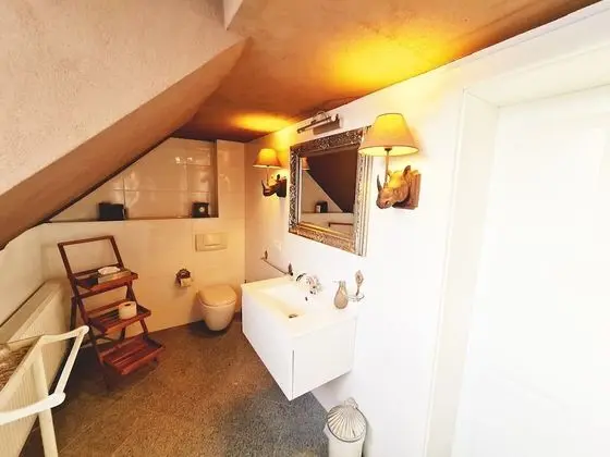 Superior Tek Büyük Yataklı Oda