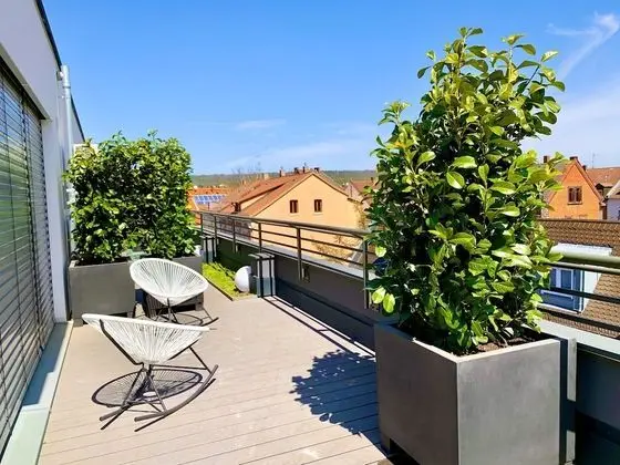 Double penthouse