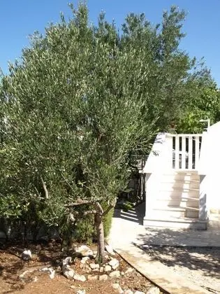 Apart Daire (Željka - 25m from the beach - A1(4))