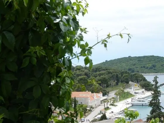 Apart Daire (Željko - affordable and with sea vie)