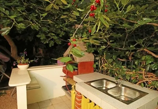 Ev (Zeljko - with nice garden - H(5))