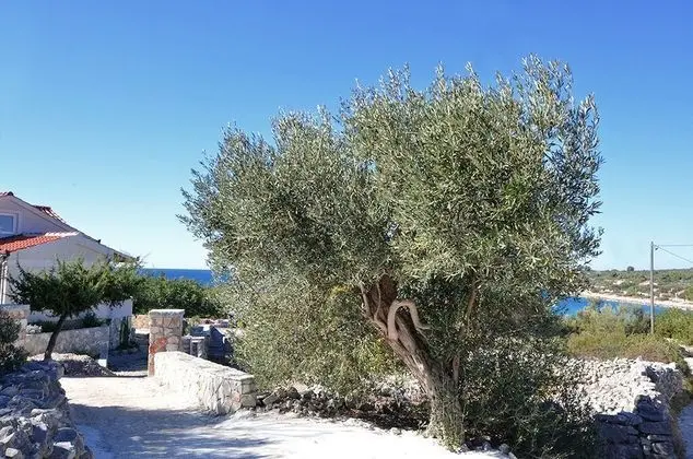 Ev (Željko - sea view - H(4+2))
