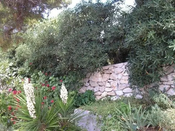 Apart Daire (Zelko - garden and barbecue - A2(2))