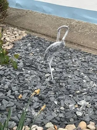 Ev, Birden Çok Yatak