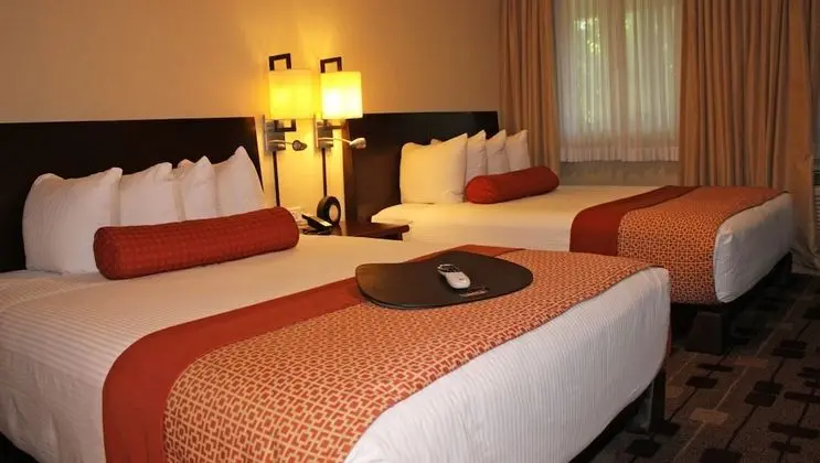 Süit, Sigara İçilmez, Mutfak (3 Queen Beds)