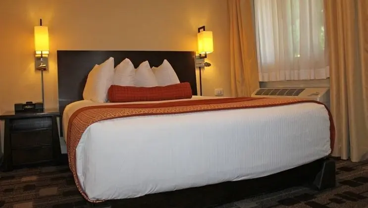 Süit, Sigara İçilmez, Mutfak (3 Queen Beds)