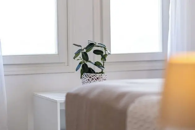 Villa, 3 Yatak Odası