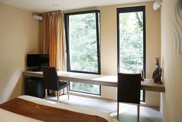 Comfort Tek Büyük Yataklı Oda (Hakuna Matata)