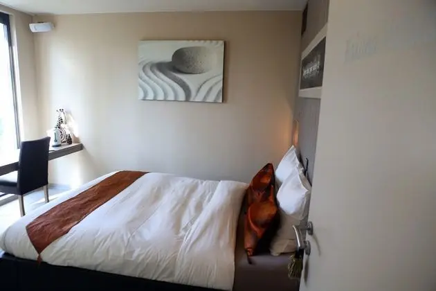 Comfort Tek Büyük Yataklı Oda (Hakuna Matata)