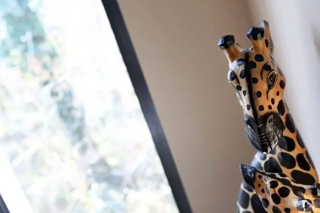 Comfort Tek Büyük Yataklı Oda (Hakuna Matata)